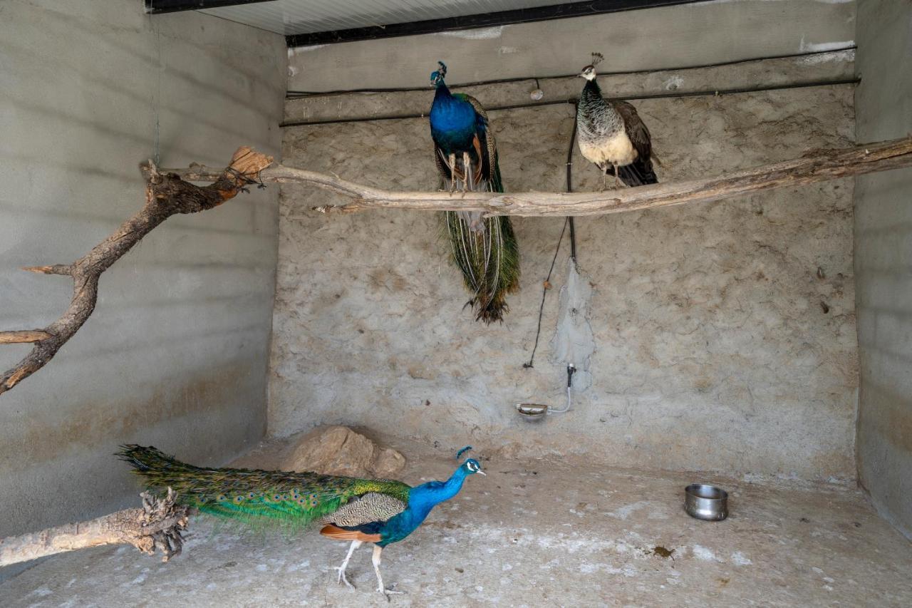 Laroya Reul Alto Cortijos Rurales旅馆 外观 照片