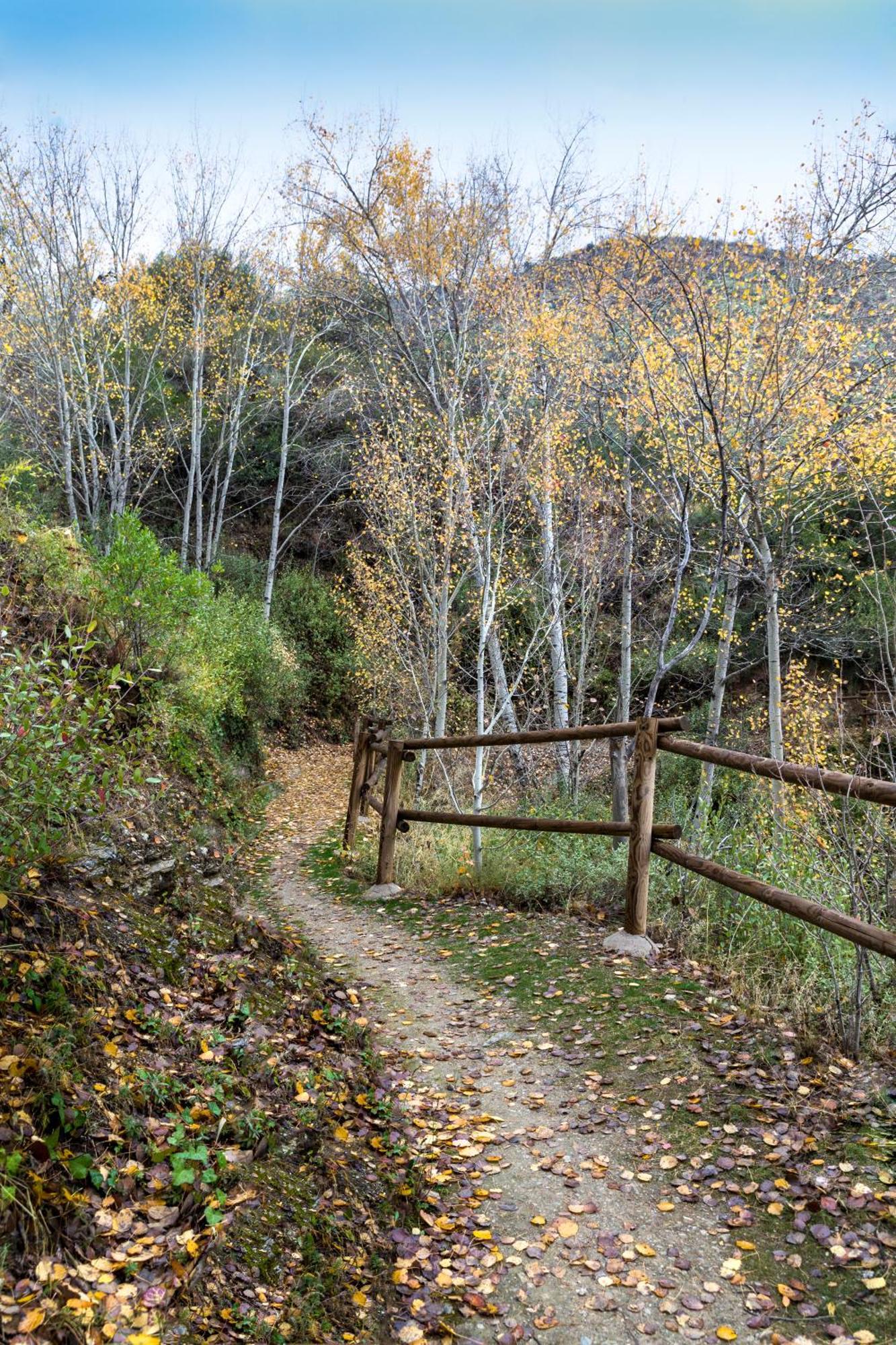 Laroya Reul Alto Cortijos Rurales旅馆 外观 照片