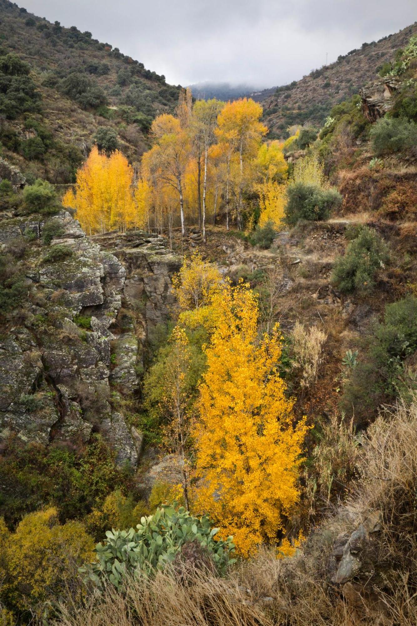 Laroya Reul Alto Cortijos Rurales旅馆 外观 照片