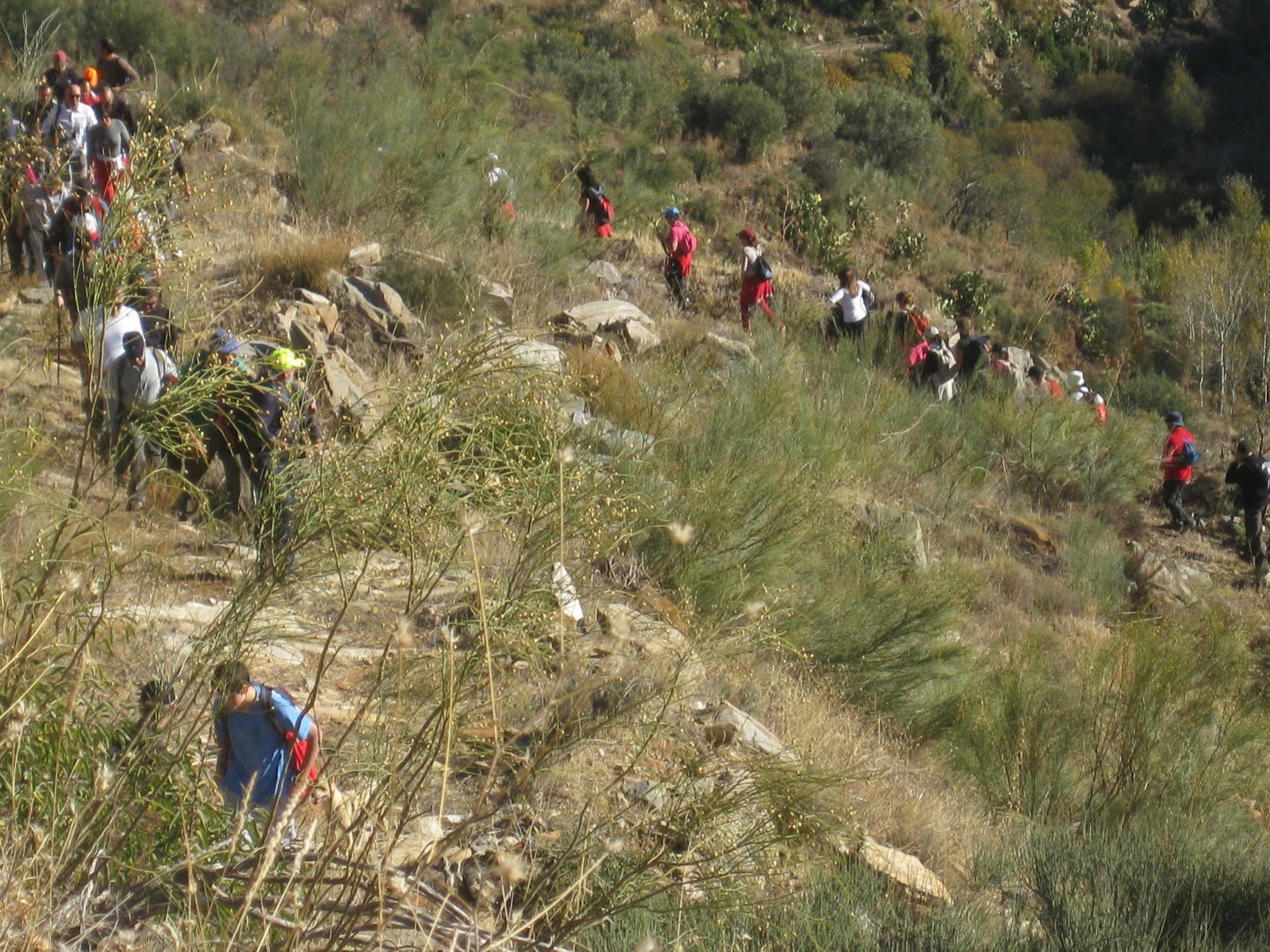 Laroya Reul Alto Cortijos Rurales旅馆 外观 照片